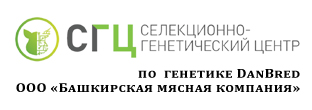 по генетике DanBred ООО «Башкирская мясная компания» по генетике DanBred ООО «Башкирская мясная компания»